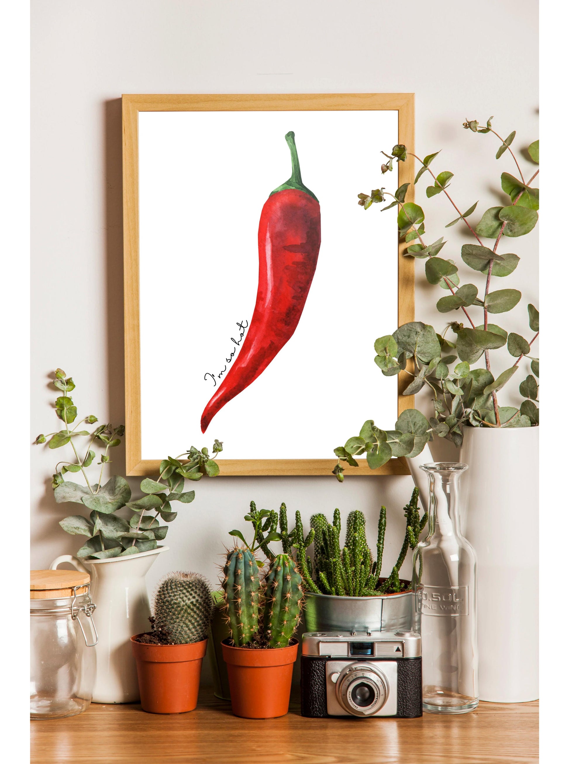 a wooden shelf with various potted plants, a framed print of a red chili pepper, and a camera.
